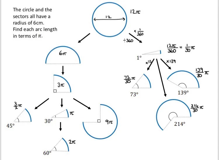 The circle and the sectors all have a radius of 6cm.
Find each arc length in terms of π

A flowchart of different sized sectors whose arc lengths can be deduced using proportionality. 