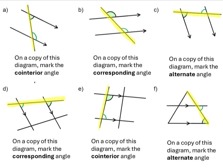 6 questions of the form:

On a copy of this diagram, mark the cointerior/corresponding/alternate angle. 

The solutions have been drawn on, with the transversals highlighted in yellow. 

