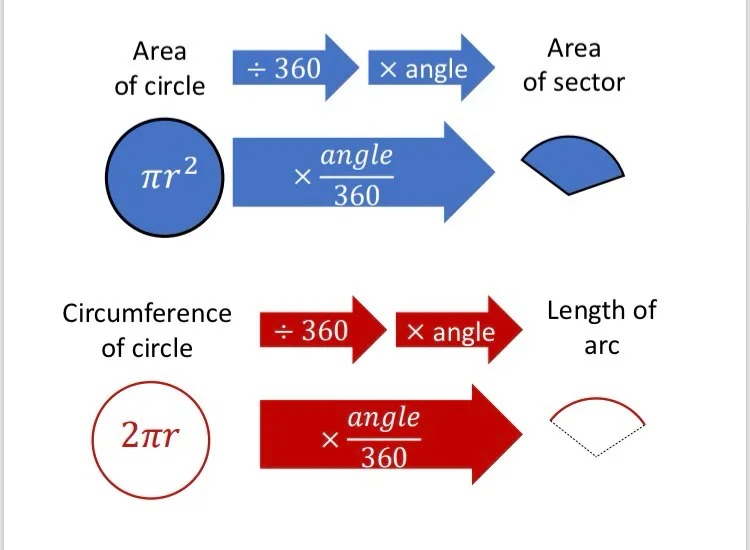 Function machines to show the relationships between circles and sectors in terms of multipliers. 